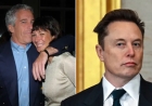 Elon Musk Responds After His Emails With Jeffrey Epstein Surface