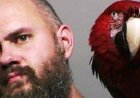 Police forced to take mugshot with macaw who wouldn’t leave criminal