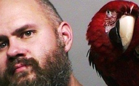 Police forced to take mugshot with macaw who wouldn’t leave criminal