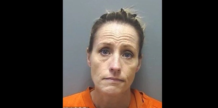 Assistant School Principal Courtney Janell Shaw accused of shoplifting from Walmart