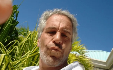 How did Jeffrey Epstein make his money and what happened to his fortune after he died?