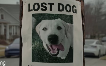 Ring's Search Party: How a Lost Dog Became a Surveillance Sales Pitch
