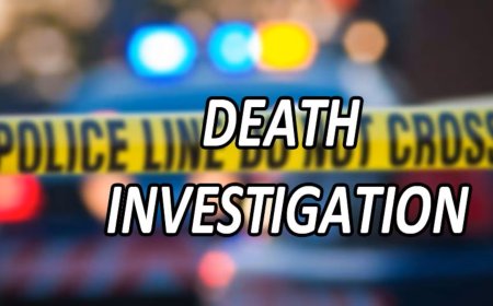 DeKalb woman Maria Manuela Molina Chavez dies in industrial accident