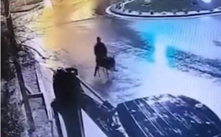 Man Accused of Stealing Gold Jewelry in Turkey Flees on Donkey Before Arrest