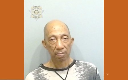 73-Year-Old  David Mays Arrested in Deadly Southwest Atlanta Shooting
