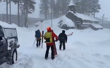 Avalanche in Lake Tahoe Kills Eight Skiers; Search Continues for One More