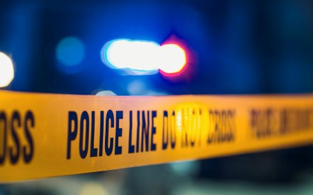 DeKalb woman Mynoviah Tinsley mauled to death by dogs inside home