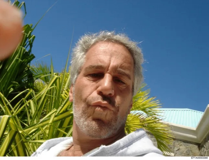 How did Jeffrey Epstein make his money and what happened to his fortune after he died?