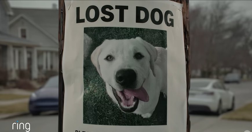 Ring's Search Party: How a Lost Dog Became a Surveillance Sales Pitch