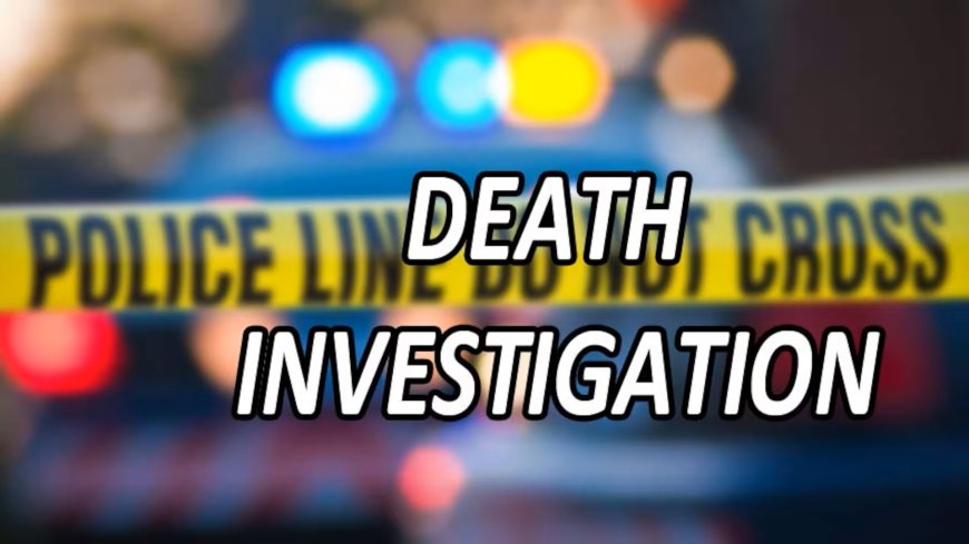 DeKalb woman Maria Manuela Molina Chavez dies in industrial accident