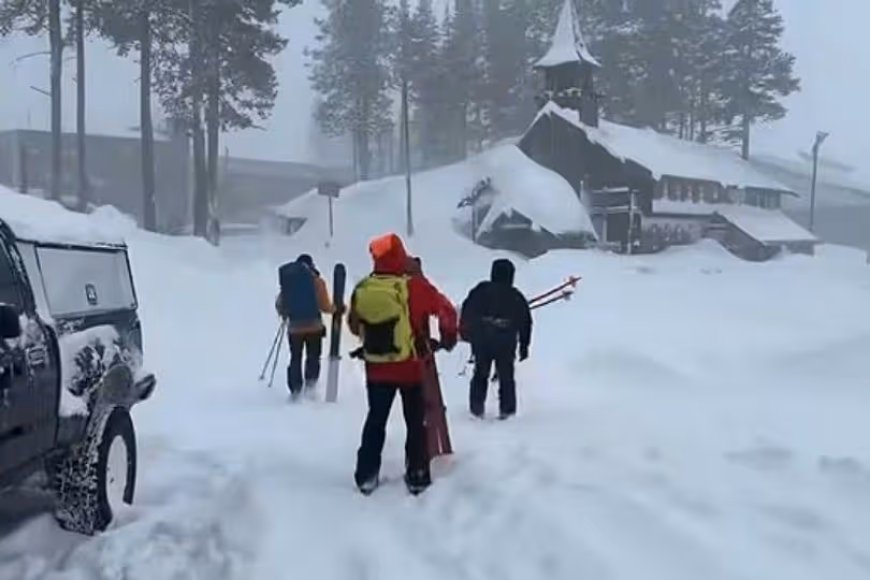 Avalanche in Lake Tahoe Kills Eight Skiers; Search Continues for One More