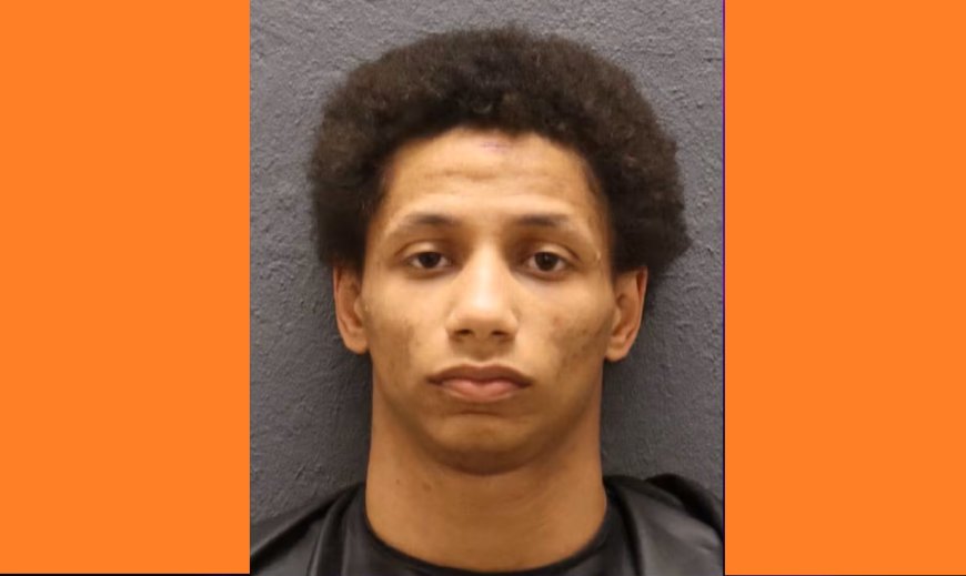 Georgia man Jordan Hardesty working security at a party handcuffed woman, hit her in the face, deputies say