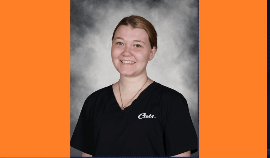 Georgia high school cafeteria worker Ashleigh Wilson arrested on child molestation charges